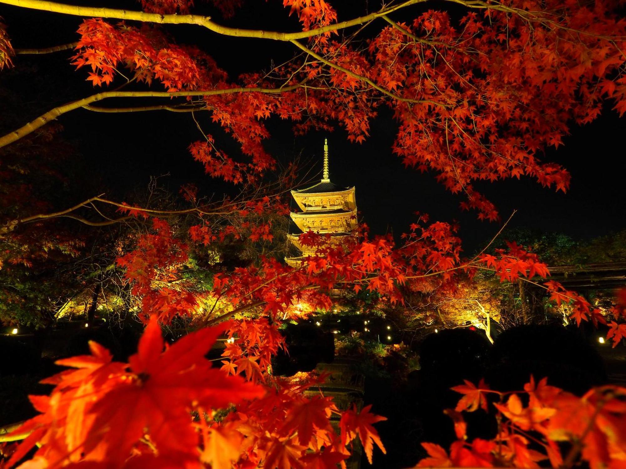 Stay Sakura Kyoto Higashi Hongan-Ji I Εξωτερικό φωτογραφία