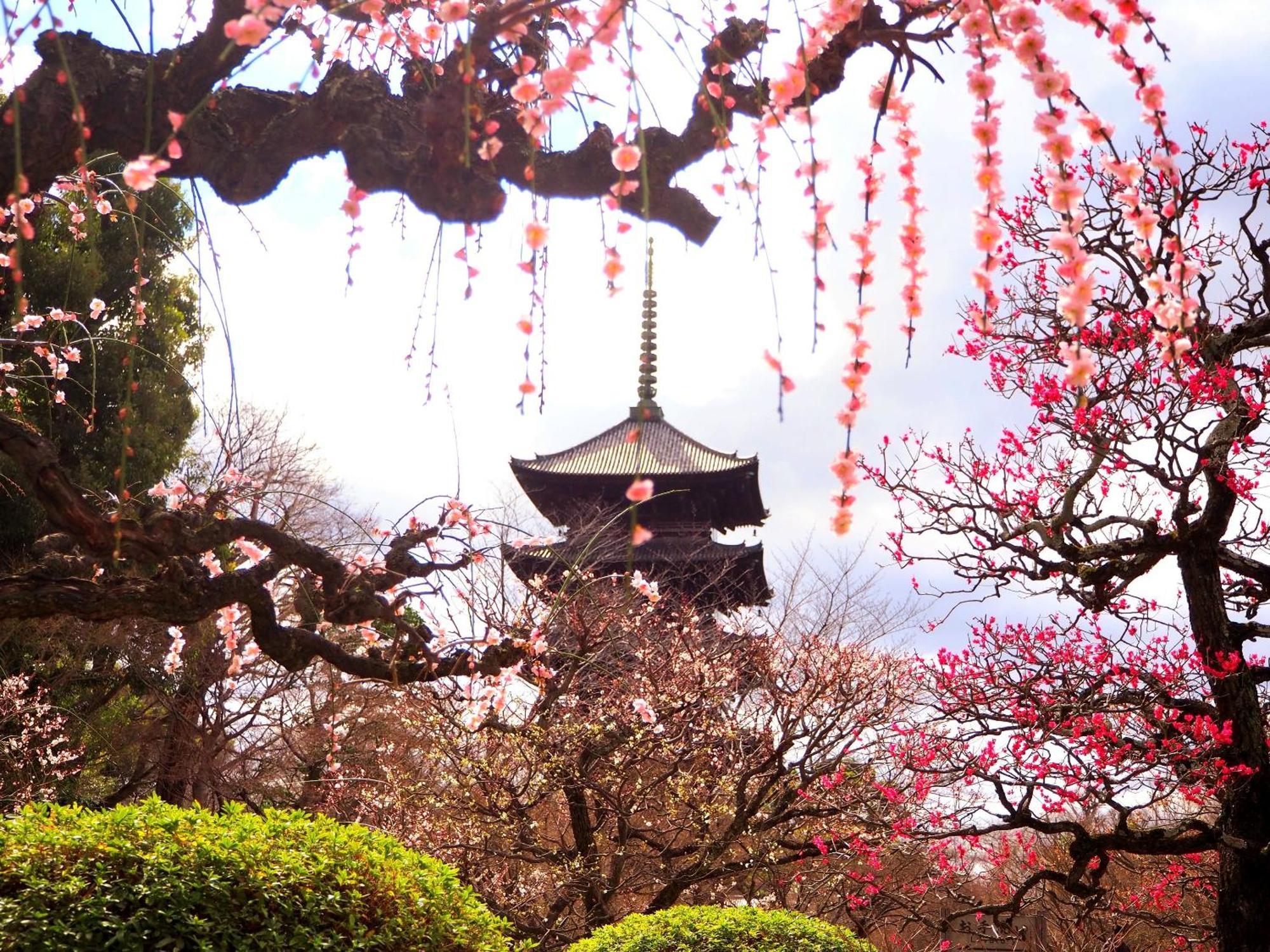 Stay Sakura Kyoto Higashi Hongan-Ji I Εξωτερικό φωτογραφία