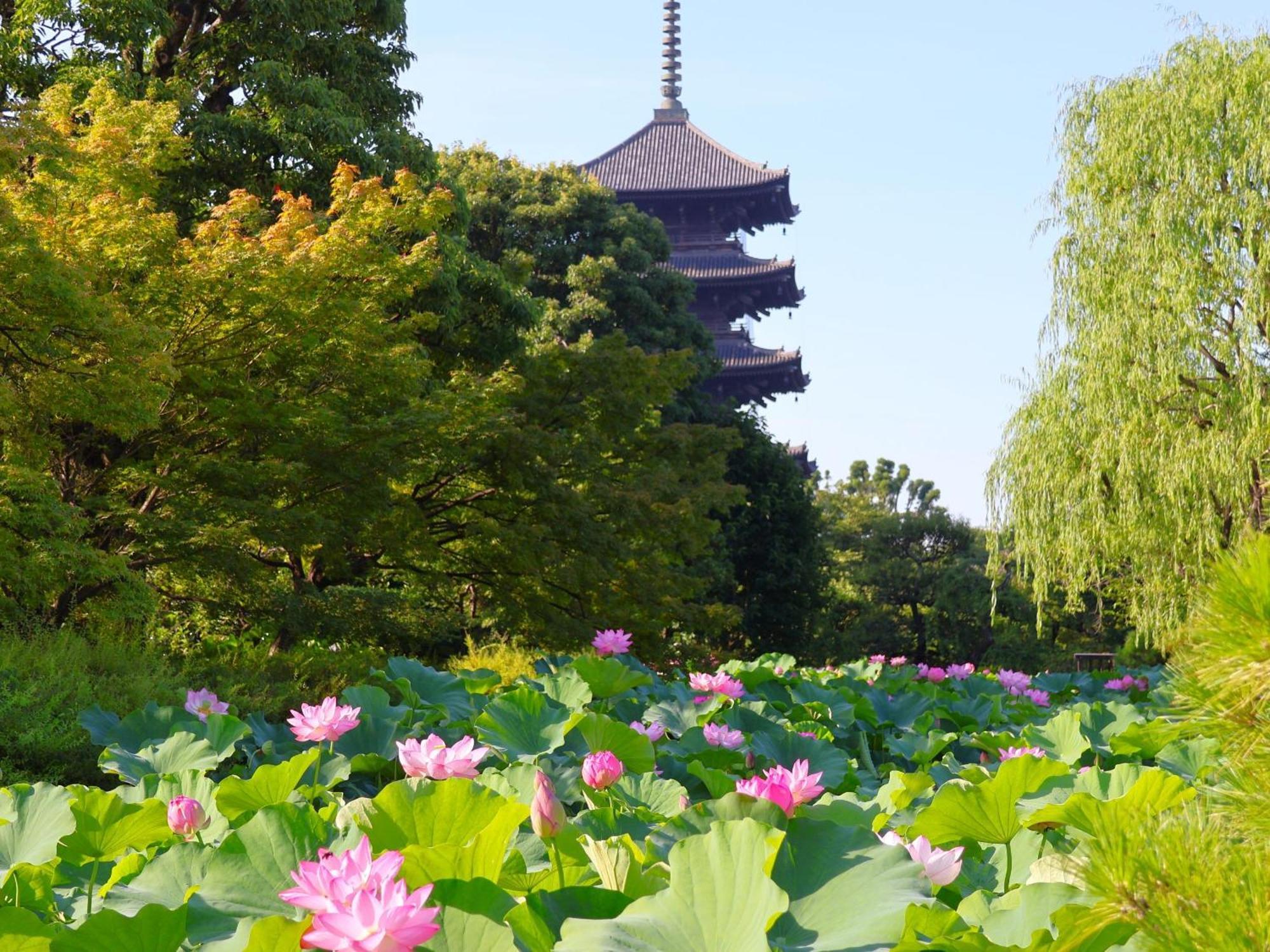 Stay Sakura Kyoto Higashi Hongan-Ji I Εξωτερικό φωτογραφία