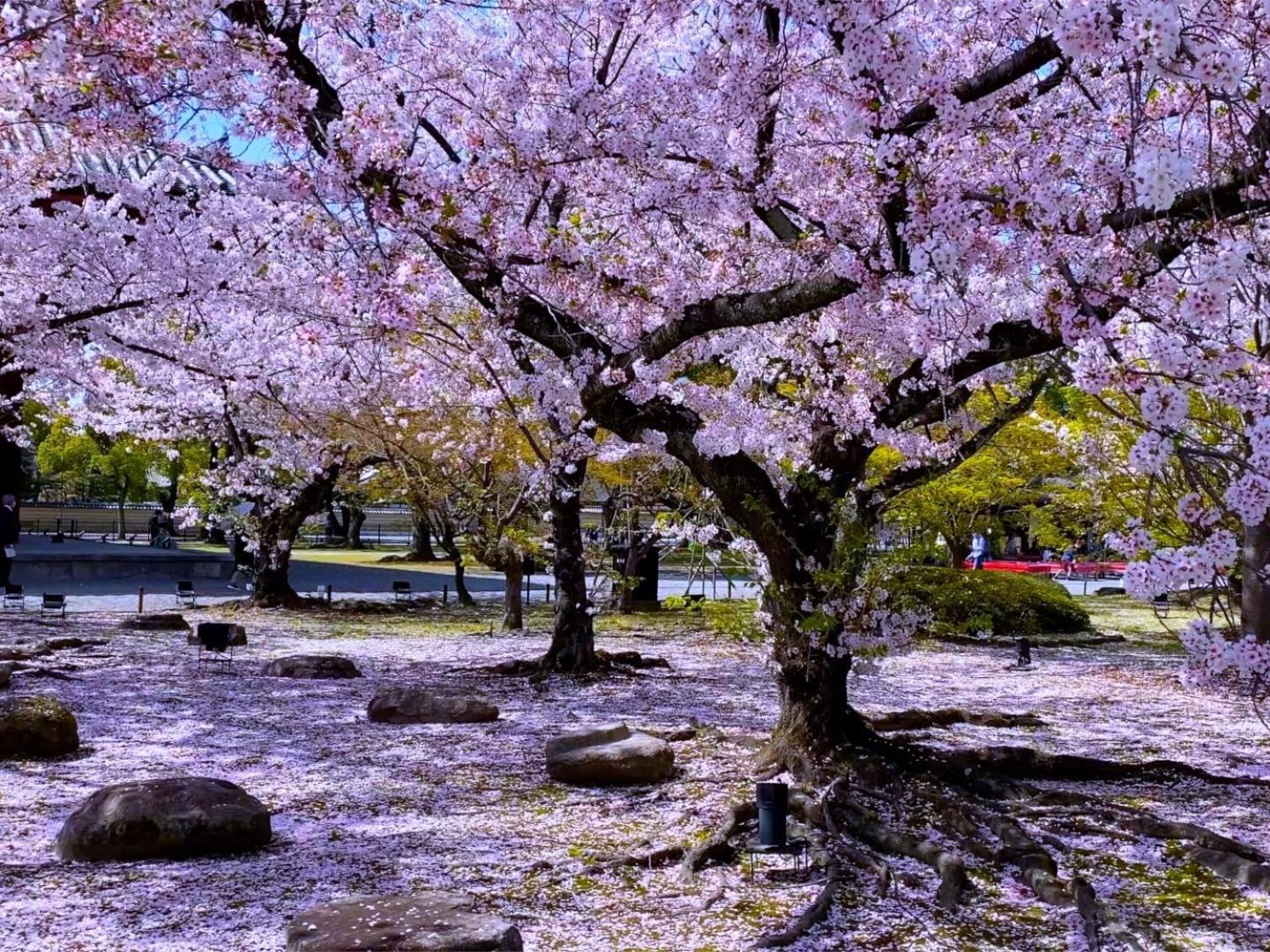 Stay Sakura Kyoto Higashi Hongan-Ji I Εξωτερικό φωτογραφία